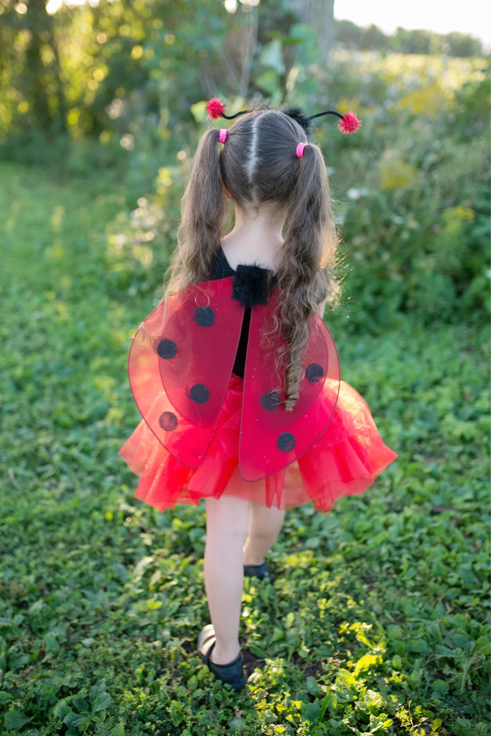 Glitter Ladybug Set